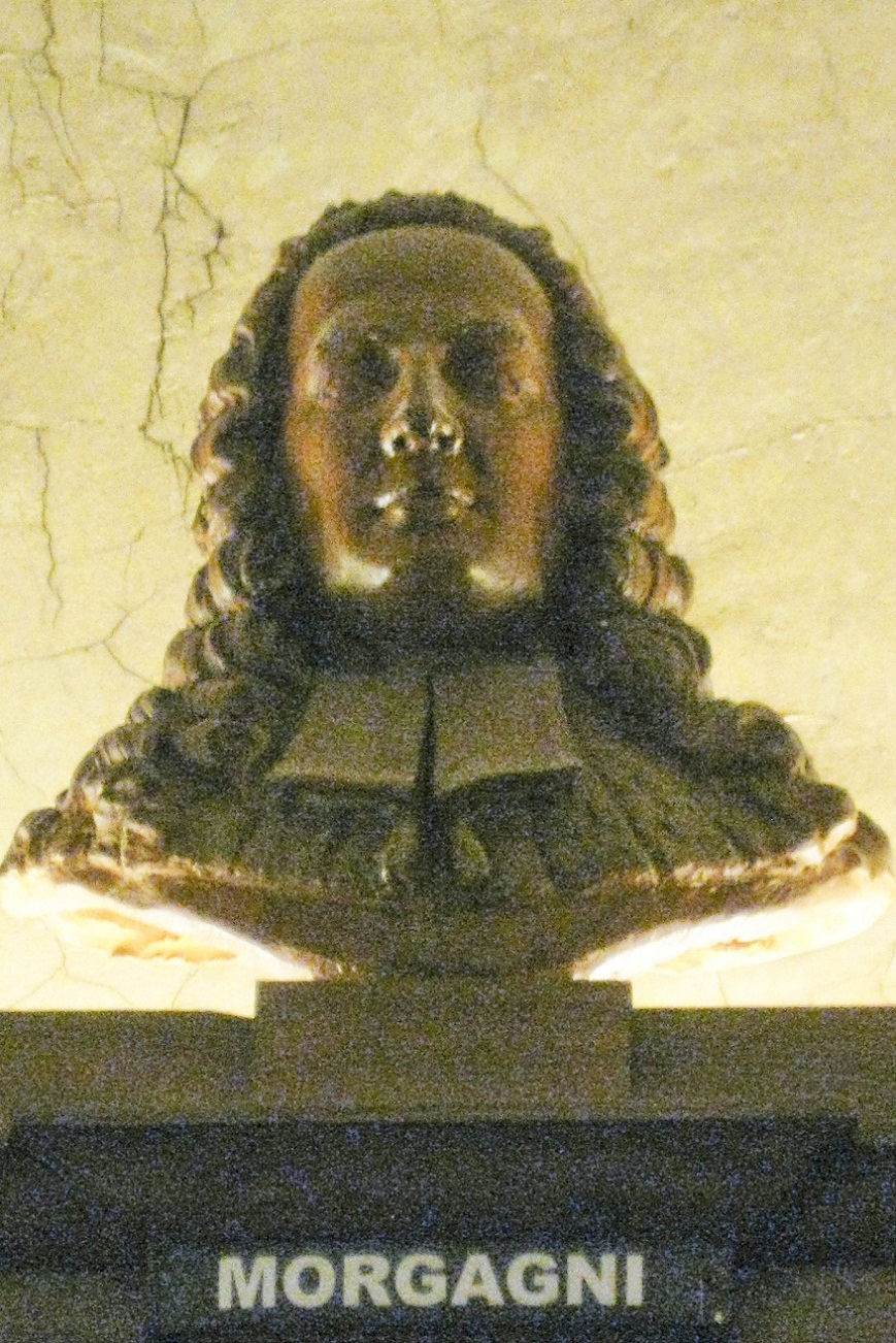 The library of Accademia Lancisiana  (9).jpg